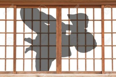 3d ass big_ass big_breasts big_butt bouncing_ass bouncing_breasts breasts doggy_style female guege haydee haydee_(game) male male/female robot sex sex_sillouette silhouette silhouette_sex sillouette watermark