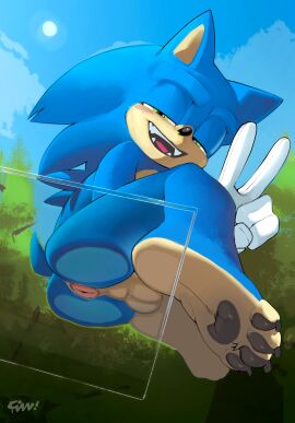 1boy against_surface anal_wink anthro anus anus_focus ass ass_on_glass ball_squish balls blue_body blush blush_lines clothing detailed_background eulipotyphlan feet fizzthetiger foot_focus footprint footwear forest fur furry furry_male furry_only genitals gesture glass gloves green_eyes hand_gesture handwear hedgehog hi_res hindpaw male on_glass pawpads pawprint paws plant presenting presenting_anus presenting_balls presenting_hindquarters public public_exposure public_nudity sega sitting sky sock_fetish socks solo solo_focus solo_male sonic_(series) sonic_the_hedgehog sonic_the_hedgehog_(film) sonic_the_hedgehog_(series) spread_anus spreading squish teeth tree v_sign