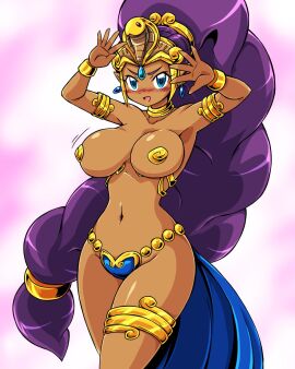 armpits belly_dancer belly_dancer_outfit brown_skin dancer_outfit dancer_shantae female female_only fully_clothed harem_outfit paulgq revealing_clothes shantae shantae_(character) skimpy_clothes