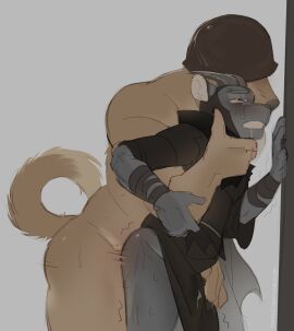 against_surface against_wall anal anal_sex anthro armor ass blush bodily_fluids bovid canid canine caprine clothed clothing clothing_lift crying cum cum_drip cum_in_clothing cum_through_clothing digital_media_(artwork) dripping drooling duo from_behind_position fur gay genital_fluids goat hat headgear headgear_only headwear helmet helmet_only hi_res horn interspecies male male/male male_penetrating mammal merasmus nude painal painful_penetration penetration penile penile_penetration penis pounding_ass robe robe_lift rough_sex saliva sex simple_background soldier_(team_fortress_2) standing standing_sex tail team_fortress_2 teamfurtress tears topwear valve wet wet_clothing