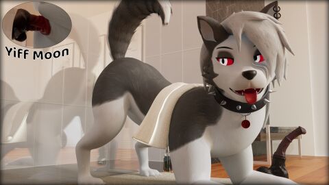 16:9 3d animal_genitalia animal_penis ass balls bathroom bestiality bodily_fluids canid canid_demon canine canis claws collar custos_lunam demon digital_media_(artwork) dildo doggy_style ear_piercing ear_ring equine_genitalia equine_penis female feral from_behind_position fur genital_fluids genitals hair hellhound helluva_boss hi_res loona_(helluva_boss) male mammal mythological_canine mythological_creature mythology nude open_mouth penetration penis piercing pussy red_eyes ring_piercing sex sex_toy smile solo tail text tongue tongue_out unusual_anatomy unusual_genitalia unusual_penis vaginal_penetration widescreen wolf yiff_moon