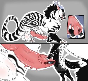 2boys animal_genitalia anthro anthro_on_feral balls bigger_sub black_and_white_fur black_body black_fur blue_penis bodily_fluids breath canid canine canine_genitalia claws close-up docking dragon duo felkin feral fluffy_balls fox fur furred_dragon gay genital_fluids genitals hi_res holding_penis horn humanoid_genitalia humanoid_penis internal internal_urethral knot male male/male male_only mammal markings monotone_background motion_lines mythological_creature mythological_scalie mythology panting penetration penile penile_penetration penis penis_in_penis penis_on_penis pink_penis precum quadruped red_fox reptile saggy_balls scalie sex shapeshifter shirojackote silver_fox simple_background size_difference small_dom_big_sub spiked_penis spikes spikes_(anatomy) spots spotted_body spotted_fur spread_urethra spreading steamy_breath striped_body striped_fur striped_markings stripes true_fox unusual_anatomy unusual_genitalia unusual_penis urethra urethral urethral_penetration vein veiny_penis white_body white_fur zoophilia