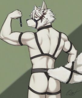 anthro bondage canid canine canis furry gay leather male male_only mihoyo muscles victoria_housekeeping von_lycaon wolf zenless_zone_zero