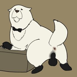 1:1 anus ass balls bond_(spy_x_family) canid canine canis domestic_dog feral genitals hi_res male mammal marrowkopticon presenting presenting_hindquarters rear_view solo spy_x_family