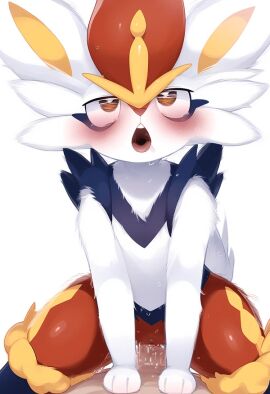 1boy 1girls 2d anthro cinderace female female_cinderace furry generation_8_pokemon lagomorph male male/female nintendo pokemon pokemon_(species) pokémon_(species)