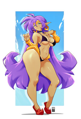 bayeuxman blue_eyes byxmarts dark-skinned_female pointy_ears purple_hair shantae shantae_(character)