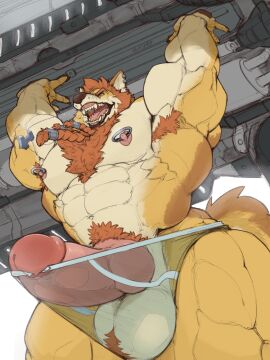 abs anthro areola armpit_hair ball_tuft balls barazoku barely_contained barely_contained_penis beard biceps big_balls big_muscles big_penis biped body_hair braided_beard briefs briefs_only brown_body brown_fur brown_nose brown_pawpads canid canine canis chest_hair claws clothed clothed_anthro clothed_male clothing countershade_arms countershade_face countershade_torso countershading digital_drawing_(artwork) digital_media_(artwork) ear_cuff erection eyebrows facial_hair fangs finger_claws fingerpads fingers fur genitals glans gums hair hi_res huge_muscles humanoid_genitalia humanoid_hands humanoid_penis hybrid_genitalia hybrid_penis jewelry knot knotted_humanoid_penis knotted_penis latissimus_dorsi looking_forward low-angle_view male male_anthro mammal manly multicolored_body multicolored_fur muscular muscular_anthro muscular_arms muscular_male muscular_thighs navel necklace nipple_piercing nipple_ring nipples oldshep open_mouth open_smile orange_armpit_hair orange_beard orange_eyebrows orange_facial_hair orange_hair orange_pubes pawpads pecs penis piercing pink_areola pink_glans pink_nipples pink_penis pink_tongue portrait pubes quads raised_arms ring_piercing rune_ironmane serratus sharp_teeth signature smile solo tail tan_body tan_countershading tan_fur teeth three-quarter_portrait three-quarter_view tongue topless topless_anthro topless_male translucent translucent_briefs translucent_clothing translucent_underwear triceps truck tuft underwear underwear_only vehicle wolf yellow_body yellow_fur