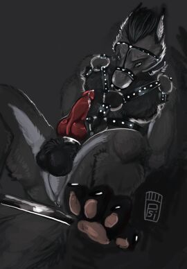 2015 animal_genitalia animal_penis anthro anus ball_tuft balls black_body black_fur black_hair bodily_fluids canid canine canine_genitalia canine_penis canis dripping erection fur genital_fluids genitals grey_body grey_fur hair harness i-psilone knot knotted_penis male male_anthro mammal nude nude_anthro nude_male pawpads penis precum precum_drip restraints simple_background solo spread_legs spreader_bar spreading tail tuft wolf