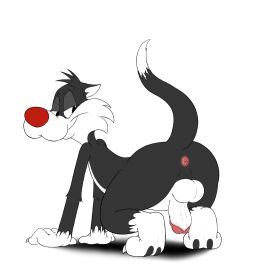 all_fours alpha_channel anthro anus ass balls big_ass big_butt black_body black_fur digital_media_(artwork) dipstick_tail domestic_cat felid feline felis fur genitals hi_res humanoid_genitalia humanoid_penis looking_back looney_tunes male mammal markings multicolored_body multicolored_fur penis presenting presenting_hindquarters rear_view red_nose smile solo sparkle_cat sylvester tail tail_markings transparent_background two-tone_body two-tone_fur warner_brothers white_body white_fur