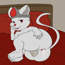 2025 5_toes adult_(lore) after_anal after_sex animal_humanoid anonymous_artist anthro anus ass backsack balls bed bedroom bedroom_eyes bodily_fluids butt_grab crown crown_only cum cum_in_ass cum_inside cum_leaking_from_ass cum_leaking_out feet fur furniture garry_mouse gem genital_fluids genitals hand_on_butt headgear headgear_only hi_res humanoid leaking_cum looking_at_viewer lying lying_on_bed male male_(lore) mammal mammal_humanoid mouse mouse_humanoid murid murid_humanoid murine murine_humanoid narrowed_eyes nude nude_anthro nude_male on_bed on_side presenting presenting_cum_inside presenting_hindquarters red_eyes ring ring_(jewelry) rodent rodent_humanoid ruby_(gem) seducing_viewer seductive smile smiling_at_viewer soles solo solo_focus spread_anus spread_butt spreading tail toes white_body white_fur
