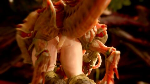 3d_animation, alien_humanoid, doggy_position, doggy_style, doggystyle, guant, kleinvoimond, moaning, monster, pants_around_knees tagme tyranid, vaginal_sex, video voice_acted,