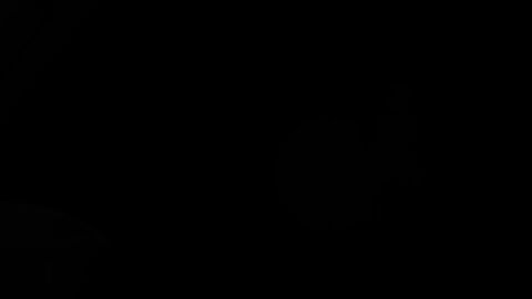 1girls animated artorias_(artist) ben_10 canine gwen_tennyson source_filmmaker tagme video zoophilia