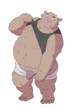 2024 anthro belly big_belly brown_body brown_fur clothed clothing clothing_lift fur gadoran genitals kemono male mammal moobs nipples overweight overweight_male penis shirt shirt_lift simple_background solo suid suina sus_(pig) topwear underwear white_background wild_boar