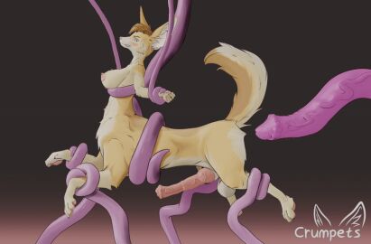 anal animated anthro belly_bulge breasts centaur crumpets_(sabotfennec) felkin_penis fennec fennec_fox fox fox_taur furry futa/male futanari horse_penis horsecock intersex large_insertion large_penis penis rough_anal stomach_bulge taur tentacle tentacle_penetration tentacle_rape tentacle_sex