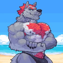 2024 2d_animation abs animated anthro areola armpit_hair bara beach biceps big_biceps big_bulge big_muscles big_pecs body_hair bouncing_bulge bouncing_pecs bulge canid canine canis chest_hair claws clothed clothing cloud day deltoids digital_media_(artwork) eyebrows facial_piercing fangs flexing flexing_bicep fur hair happy_trail huge_bulge huge_muscles looking_at_viewer low_res male male_only mammal masculine_male muscles muscular muscular_anthro muscular_male narrowed_eyes navel nipple_piercing nipples nose_piercing nose_ring obliques one_eye_closed outside ozuron pecs piercing pixel_(artwork) pixel_animation pose pubes ring_piercing sand serratus short_playtime sky smile solo speedo standing swimwear teeth thick_arms topless topless_anthro topless_male tuft vein water wink wolf yaoi
