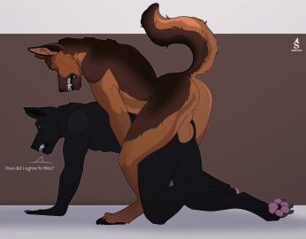2024 all_fours amarok_black_(character) anal anal_sex anthro anthro_on_anthro anthro_penetrated anthro_penetrating anthro_penetrating_anthro artist_logo ass athletic athletic_anthro athletic_male backsack balls balls_deep ballsack black_balls black_body black_claws black_fur blue_eyes brown_body brown_fur canid canine canis claws closed_eyes countershade_fur countershading dialogue doggy_style domestic_dog duo english_text from_behind_position fur genitals herding_dog hi_res logo looking_at_another looking_at_partner looking_back looking_back_at_another looking_back_at_partner looking_pleasured male male/male male_penetrated male_penetrating male_penetrating_male mammal nude nude_anthro nude_male pastoral_dog pawpads penetration penile penile_penetration penis penis_in_ass perineum pink_pawpads sabuky sex sharp_teeth side_view tan_balls tan_body tan_fur tan_perineum teeth text toe_claws