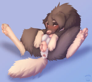 animal_genitalia animal_pussy anus bernese_mountain_dog blush canid canine canine_genitalia canine_pussy canis domestic_dog female feral fur genitals grey_body grey_fur heart_eyes heart_symbol hi_res mammal milk_(rodentmilk) molosser mountain_dog nauticalcanine nipples pink_anus pink_nipples pink_nose pink_paws pink_pussy pussy solo solo_focus swiss_mountain_dog tan_body tan_fur white_body white_fur