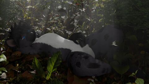 3d anthro aroused belly digital_media_(artwork) erection fox_the_hyena fur grass grey_body grey_fur hi_res hyena male mammal plant relaxing solo spotted_hyena teasing white_belly