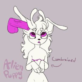 alien aliendogfreak animated anthro canid canine cuntboy disembodied_penis ear_penetration genitals gif intersex lucky_(aliendogfreak) male mammal mastectomy_scar mindfuck penetration penis scar solo_focus