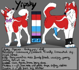 animal_genitalia animal_penis balls blue_eyes blue_penis bow_tie brown_eyes canid canine canine_genitalia canine_penis canis cheek_tuft color_swatch domestic_dog erection facial_tuft feral fully_sheathed fur genitals glistening glistening_eyes husky jewelry knot looking_at_viewer male mammal model_sheet mouth_closed neck_tuft necklace nordic_sled_dog penis red_body red_fur red_tail sheath solo spitz tail tuft unbreakable-warrior white_balls white_body white_fur white_tail wolf