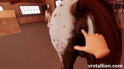 1animal 3d 3d_model anal anal_insertion anal_sex animal_genitalia anus anus_focus barn beast beastiality disembodied_hand donut_anus equine equine_anus equine_genitalia feral feral_penetrated fingering fingering_anus fingering_ass fingering_partner fingers game game_cg horse horse_anus horse_tail male open_anus original original_character penetration penetration_from_behind presenting_hindquarters rear_view rectum stretched_anus stretching video_game video_games vr vrstallion zoophilia