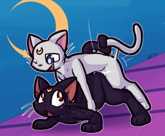 2024 3_toes ambiguous_penetration artemis_(sailor_moon) ass bishoujo_senshi_sailor_moon black_body black_fur blue_eyes bodily_fluids crescent_moon crescent_moon_(marking) cum cum_inside cum_on_ass cum_on_butt cum_splatter cute_fangs doggy_style domestic_cat entwined_tails fangs feet felid feline felis female female_penetrated feral feral_on_feral feral_penetrated feral_penetrating feral_penetrating_feral from_behind_position fur genital_fluids intraspecies looking_back looking_down looking_pleasured looking_up luna_(sailor_moon) male male/female male_penetrating male_penetrating_female mammal markings moon moon_(marking) night nude one_eye_closed open_mouth orgasm outside penetration pie_cut_eyes pink_inner_ear pink_nose pupils red_eyes rooftop sex tail tail_coil teeth thrusting toes ultilix whiskers white_body white_fur white_pupils