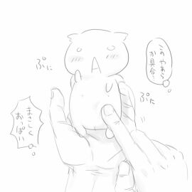 Image: 1582372