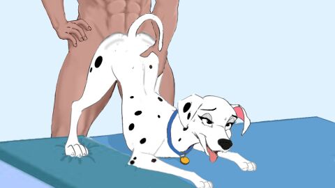 101_dalmatians animated bed blue_background canid canine canis collar dalmatian disney doggy_style domestic_dog duo female feral feral_penetrated from_behind_position furniture hi_res human human_on_feral human_penetrating human_penetrating_feral interspecies male male/female mammal muscular muscular_male on_bed penetration perdita sex simple_background solo_focus tongue tongue_out waist_grab zoophilia