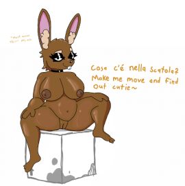 4_fingers 4_toes anthro anthro_female anthro_only box breasts brown_fur cardboard_box chococo_bunny chubby chubby_female female latex_choker legs_apart rabbit rabbit_girl rabbit_humanoid shiny shiny_breasts shiny_hair sitting solo solo_female whore_eyes