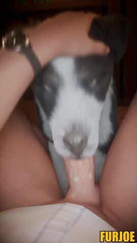 animated bodily_fluids border_collie canid canine canis clock clothed clothing collie domestic_dog duo fellatio female feral feral_penetrated first_person_view fur furjoe genital_fluids genitals hand_on_head herding_dog hi_res human human_on_feral human_penetrating human_penetrating_feral humanoid humanoid_genitalia interspecies lying male male/female mammal multicolored_body multicolored_fur no_sound on_back oral pastoral_dog penetration penile penis sex sheepdog short_playtime tagme video watch zoophilia
