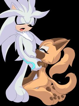 female furry j_nsfw male male/female silver_the_hedgehog sonic_(series) sonic_the_hedgehog_(idw) sonic_the_hedgehog_(series) straight tagme whisper_the_wolf