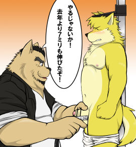 Image: 3339641