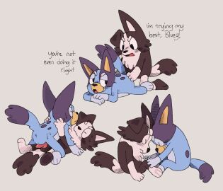 anal anal_sex animal_genitalia animal_penis anthro anus australian_cattle_dog bluey_(series) bluey_heeler border_collie canid canine canine_genitalia canine_penis canis cattledog collie cub domestic_dog duo female genitals herding_dog imminent_sexborder_collie mackenzie_(bluey) male male/female mammal nude pachi_rizuu pastoral_dog penetration penis pussy sheepdog simple_background