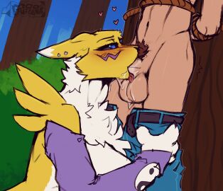 2024 4_fingers animal_humanoid anthro arm_tuft armwear armwear_only balls balls_lick bandai_namco black_nose black_sclera blowjob blowjob_face blue_eyes blue_pupils blush bodily_fluids bondage bound canid canid_humanoid canine canine_humanoid chest_tuft clothing digimon digimon_(species) digiphilia digital_media_(artwork) dripping duo ear_piercing ears_back ears_down fellatio female fingers fluffy_neck_fur forest forest_background fox fox_humanoid fur genitals hi_res human humanoid interspecies jeans_down looking_at_another looking_at_partner male male/female mammal mammal_humanoid markings moojuicers nature nature_background neck_tuft oral oral_penetration partial_male patreon penetration penile penis penis_in_mouth piercing pivoted_ears plant pubes pubes_on_face pupils purple_armwear purple_clothing purple_markings renamon restraints rookie_digimon rope rope_bondage saliva saliva_drip saliva_on_balls saliva_on_penis sex shoulder_tuft tongue tongue_on_balls tongue_out tongue_out_blowjob tree tuft watermark white_body white_fur white_markings white_tuft yellow_body yellow_fur yellow_tuft
