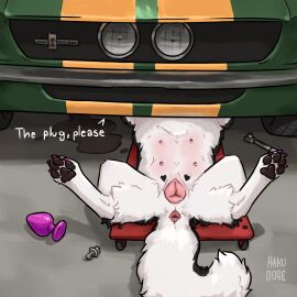 anal_plug animal_genitalia animal_pussy buttplug canid canine canine_genitalia canine_pussy canis car colored_nails dialogue domestic_dog feet female female_feral feral fur genitals hakudoge heart_(marking) hi_res husky legs_up mammal markings mechanic multi_nipple nails nipples nordic_sled_dog oil pawpads plug_(sex_toy) pussy screw sex_toy shelby_(sketchy_shelby) solo spitz tail text vehicle white_body white_fur