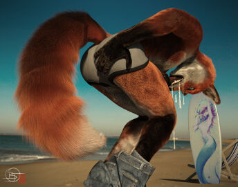 anthro autofellatio beach bent_over bodily_fluids bottomwear bottomwear_down canid canine clothed clothing cum cum_in_mouth cum_inside fluffy fluffy_tail fox genital_fluids low-angle_view male mammal masturbation oral oral_masturbation outside pants pants_around_ankles pants_down partially_clothed penile penile_masturbation penis sherwood side_view solo standing tail underwear