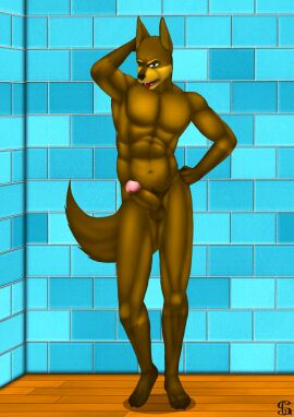 absurd_res anthro canid canine canis dobermann domestic_dog erection hi_res huge_filesize male male/male mammal penis pinscher sergld shower solo