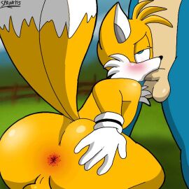 2boys anthro anthro_on_anthro anthro_only ass asshole balls blowjob fellatio fox furry furry_only gay gay_sex grab_the_butt male male/male no_humans on_knees penis sonic_(series) sonic_the_hedgehog sonic_the_hedgehog_(series) spanky15 tails tails_the_fox