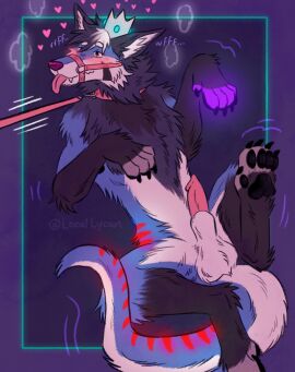 animal_genitalia animal_penis balls blush canid canine canine_genitalia canine_penis canis cobalt_(texiefox) collar crown feral genitals harness headgear hi_res leash leash_pull local_lycan male male_feral mammal penis raised_leg sheath solo tongue tongue_out wolf