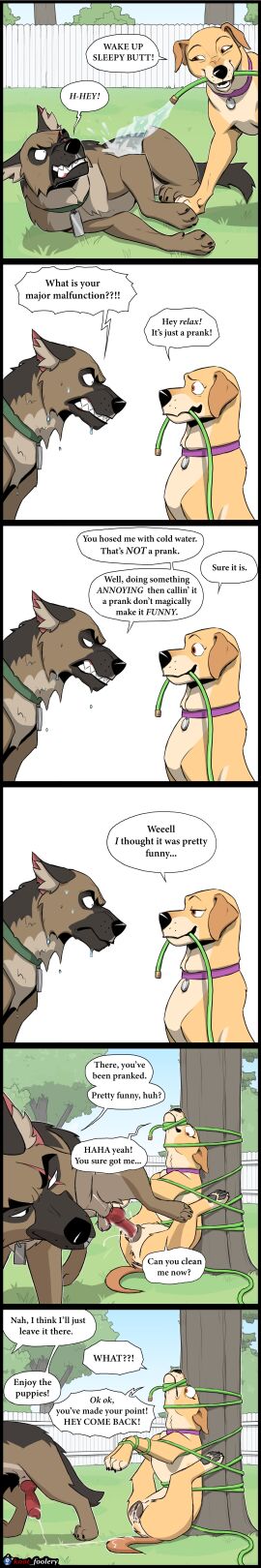 absurd_res animal_genitalia animal_penis bird_dog bodily_fluids brutus_(pixie_and_brutus) canid canine canine_genitalia canine_penis canine_vulva canis comic cum cum_in_vagina cum_inside domestic_dog female feral genital_fluids genitals german hi_res hunting_dog impregnation knot_foolery labrador lola_(pixie_and_brutus) long_image male male/female mammal penis retriever shepherd tall_image