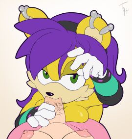 amy_rose anthro anthro_on_anthro blowjob breast_press breasts edit eye_contact faceless_futa female futa_on_female futa_pov futa_with_female futanari hand_on_penis holding_penis intersex mina_mongoose moving_hair nipples nude nude_female nude_futa oral oral_sex penis penis_in_mouth pov pov_eye_contact sega sonic_(series) sonic_the_hedgehog_(series) sucking sucking_penis the_other_half vein