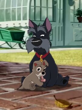 adult_on_cub adult_on_young age_difference blowjob canid canine cub disney domestic_dog feral feral_on_feral gay jock_(lady_and_the_tramp) lady_and_the_tramp male male/male male_cub male_only oral oral_sex penis penis_in_mouth penis_nursing puppy quadruped scamp scamp_(lady_and_the_tramp) schnauzer scottish_terrier sex sucking_cock sucking_penis suckling unclejock young_feral