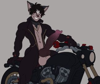 abs animal_genitalia animal_penis anthro balls big_penis biker black_body black_clothing black_fur black_hair bodysuit canid canine canine_genitalia canine_penis canis castbound clothing domestic_dog erection fur genitals grey_body grey_fur hair huge_cock jewelry knot knotted_penis male mammal motor_vehicle motorcycle multicolored_body multicolored_fur multicolored_hair muscular muscular_anthro muscular_male necklace penis red_eyes riding_motorcycle russell_(castbound) sheath sitting skinsuit smile smiling_at_viewer solo tight_clothing two-tone_body two-tone_fur two-tone_hair unzipped unzipped_bodysuit vehicle vein veiny_knot veiny_penis white_hair zipper