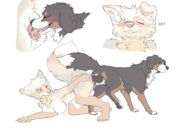 animal_genitalia animal_penis animal_pussy anthro anthro_on_feral anthro_penetrated anus ass ass_up balls bernese_mountain_dog blush bodily_fluids breasts canid canine canine_genitalia canine_penis canine_pussy canis claws closed_eyes cunnilingus digital_drawing_(artwork) digital_media_(artwork) domestic_dog duo erection female female_penetrated feral feral_penetrating feral_penetrating_anthro fluffy fluffy_tail from_behind_position genitals hi_res knot looking_pleasured male male/female male_penetrating male_penetrating_female mammal moan molosser mountain_dog multiple_images narrowed_eyes nude oral pawpads paws penetration penis psychobatsu pussy raised_tail saliva sequence sex simple_background smile sound_effects standing swiss_mountain_dog tail teeth vaginal_penetration zoophilia