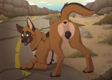 animal_genitalia anthro anus canine_genitalia canine_pussy dogmeat fallout fallout_(series) female female_only feral feral_focus feral_only presenting_anus presenting_hindquarters presenting_pussy rule_63 tagme xanthewolf