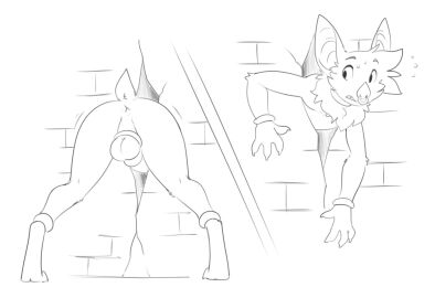 accessory animal_genitalia anklet anthro anus ass balls bat bat_ears bat_nose bracelet claws crossdressing crossdressing_(mtf) crossdressing_male cuff_bracelet digital_media_(artwork) facial_piercing femboy fur gay gay_male genitals hair halbean hi_res homosexual homosexual_male jewelry male male_penetrated mammal neck_tuft nose_piercing nose_ring nude penis penis_accessory penis_jewelry piercing ring_piercing sean-zee_petit sheath short_tail simple_background solo solo_male spread_legs spreading tail through_wall tuft wall_(structure) white_background wingless_bat