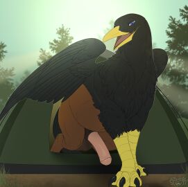 animal_genitalia animal_penis avian balls big_balls big_penis bird black_body black_feathers brown_body brown_fur camping claws corvid equine_genitalia equine_penis european_mythology feathered_wings feathers feral fur genitals greek_mythology hi_res hippogriff looking_at_viewer male morning mythological_avian mythological_creature mythology oscine outside passerine penis plant scuted_legs scutes sepiaflux solo tent tree wings