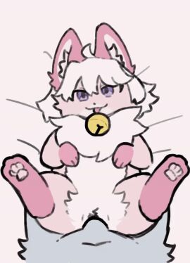 2d_animation animated anthro bell bell_collar canid canine collar digital_media_(artwork) duo female feral from_front_position fur furry genitals hair hinemi_kon_(hinemi_kon) katla_(artist) looking_at_viewer loop lying male male/female male_penetrating mammal missionary_position neck_tuft on_back original pawpads penetration penile penile_penetration penis pink_body pussy sex short_playtime simple_background smile tongue tongue_out tuft vaginal_penetration white_hair