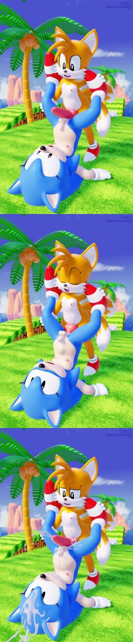 2futas anal_sex cum ejaculation furfnsfw futa/futa futa_on_futa futanari orgasm sonic_(series) sonic_the_hedgehog sonique_the_hedgehog tails_the_fox tailsko yuri