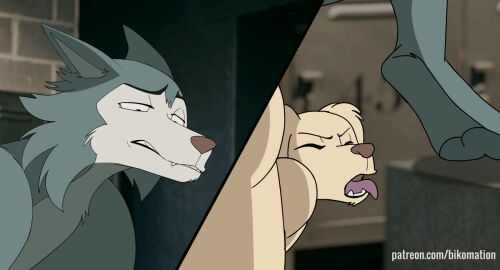 16:9 2024 2boys 2d_animation 5_fingers aggressive aggressive_sex anal anal_sex animated anthro anthro_on_anthro anthro_penetrated anthro_penetrating anthro_penetrating_anthro ass beastars better_version_at_source bikomation bird_dog black_eyes black_nose blinking blush body_hair breath breathing brown_nose canid canine canis cheek_tuft chest_hair claws clenched_teeth close-up close_up closed_eyes detailed_background digital_media_(artwork) domestic_dog dominant dominated duo ears_up excited eyebrows eyes facial_expressions facial_tuft fangs feet feet_behind_head floppy_ears fluffy fluffy_ears fluffy_hair frame_by_frame friends fur furry gay good_boy grey_body grey_fur half-closed_eyes half_closed_eyes hunting_dog interspecies intimacy intimate jack_(beastars) labrador legoshi_(beastars) locker_room locker_room_sex lockers looking_at_another looking_pleasured male male/male male_only male_penetrated male_penetrating male_penetrating_male mammal moan moaning moaning_in_pleasure multicolored_body multicolored_fur narrowed_eyes netflix nude nude_male open_mouth orgasm orgasm_face pawpads paws penetration pleasure pleasured_face retriever roommate sex short_playtime smile smiling standing standing_sex tan_body tan_fur teeth teeth_clenched teeth_showing teeth_visible toes tongue tongue_out tuft wet_tongue widescreen wolf yellow_body yellow_fur